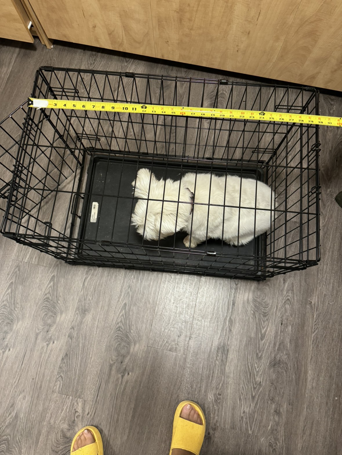 Dog crate - photo 3