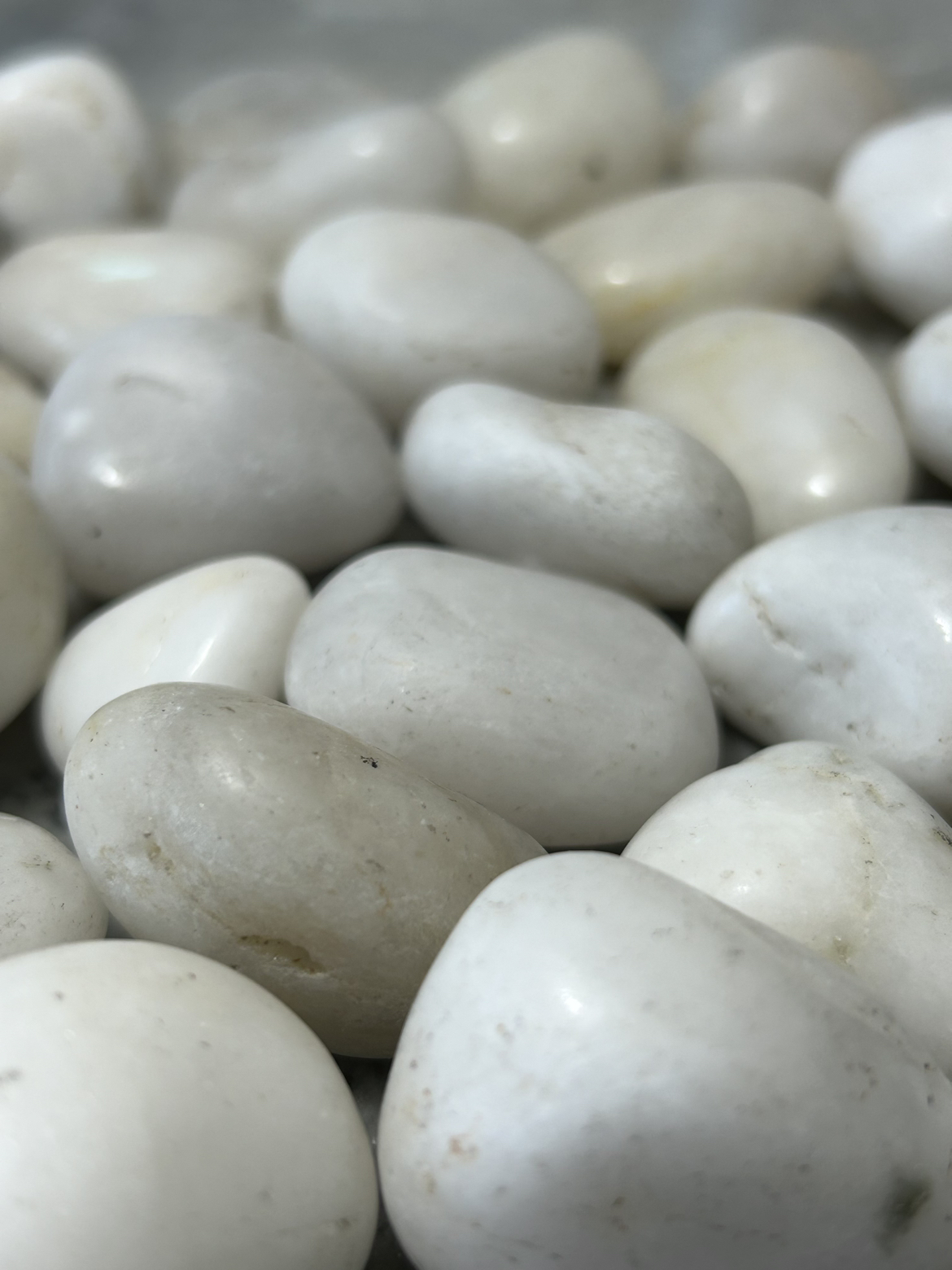 River Rocks, Aquarium and Terrarium Pebbles