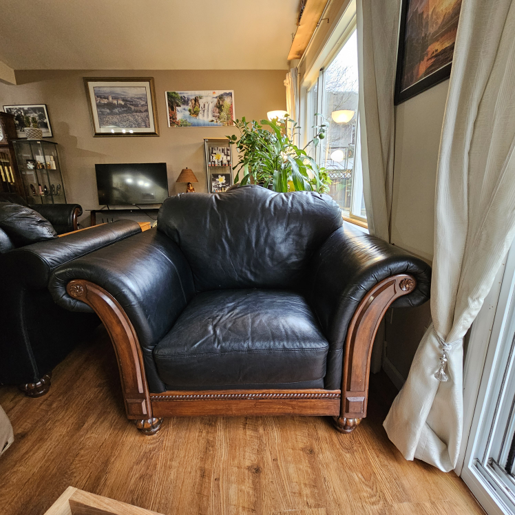 sofa set leather - photo 5