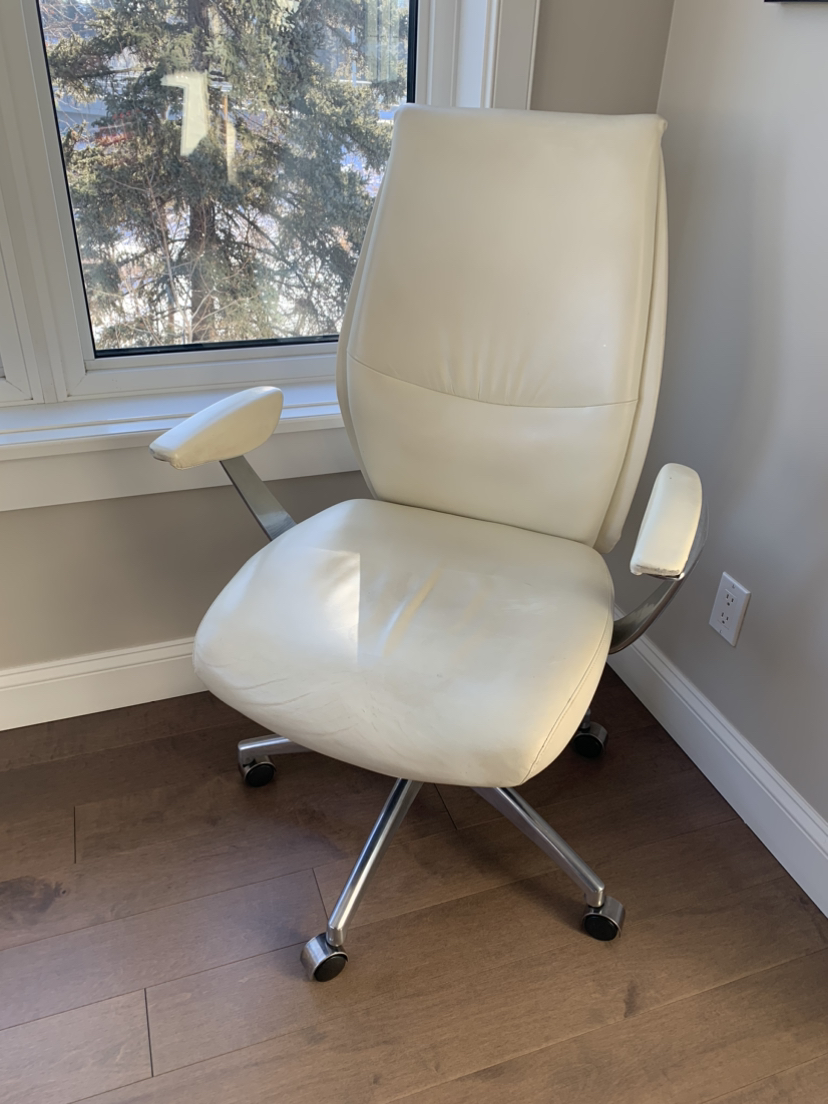 Urban Barn Office Chair