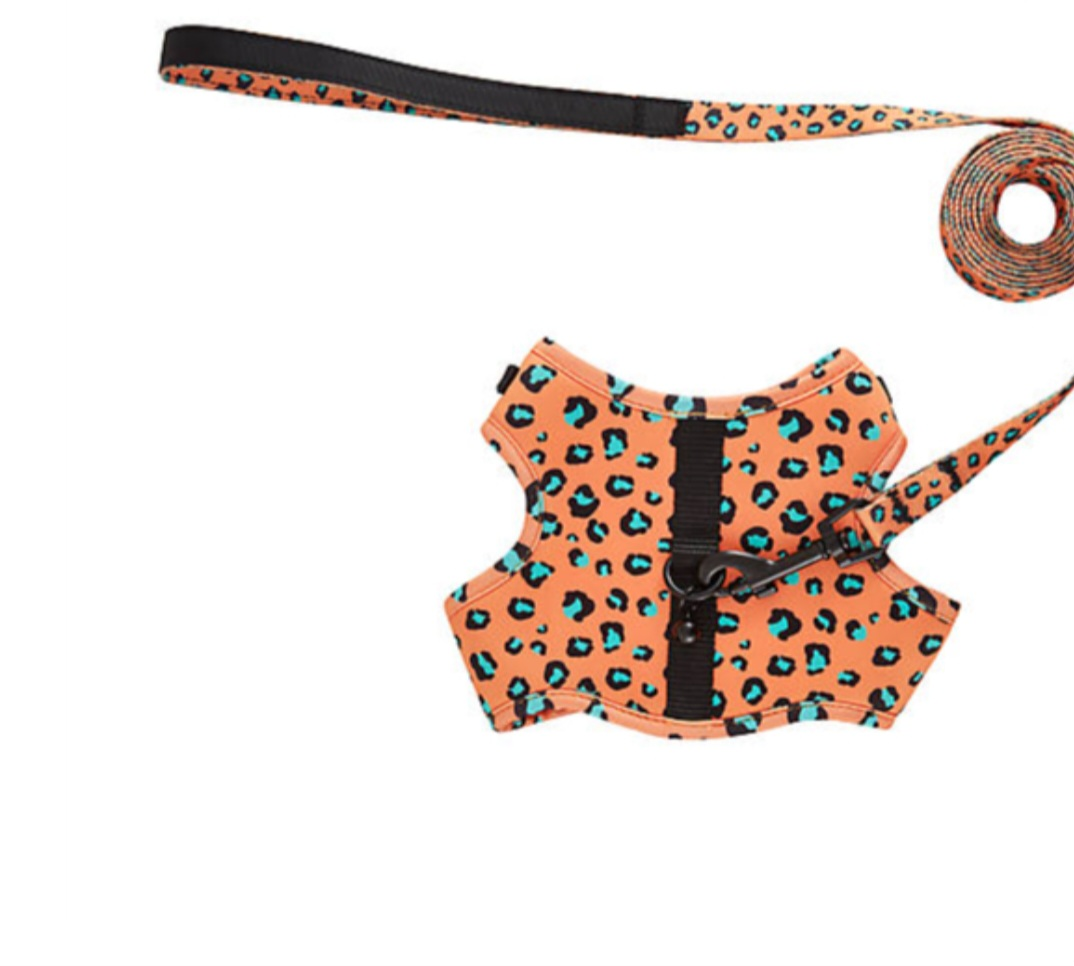 Pet leash