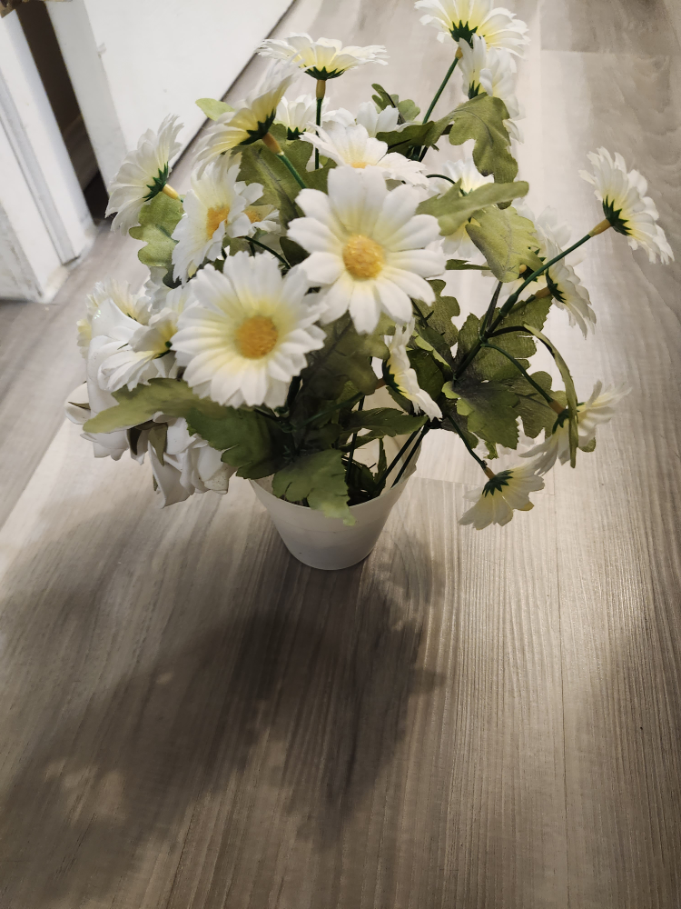 flower plastic display #freecycle