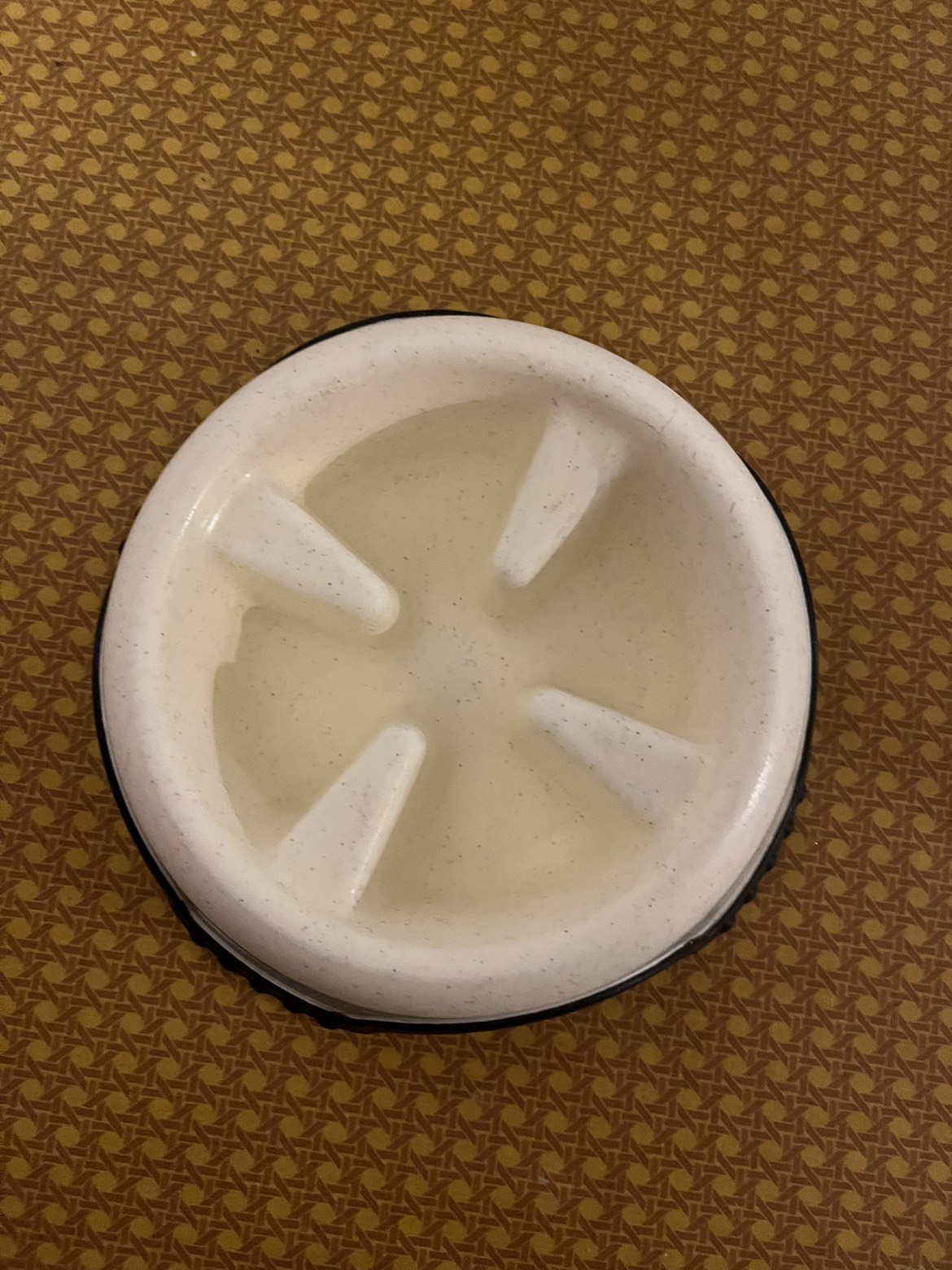 Dog dish slow feeder