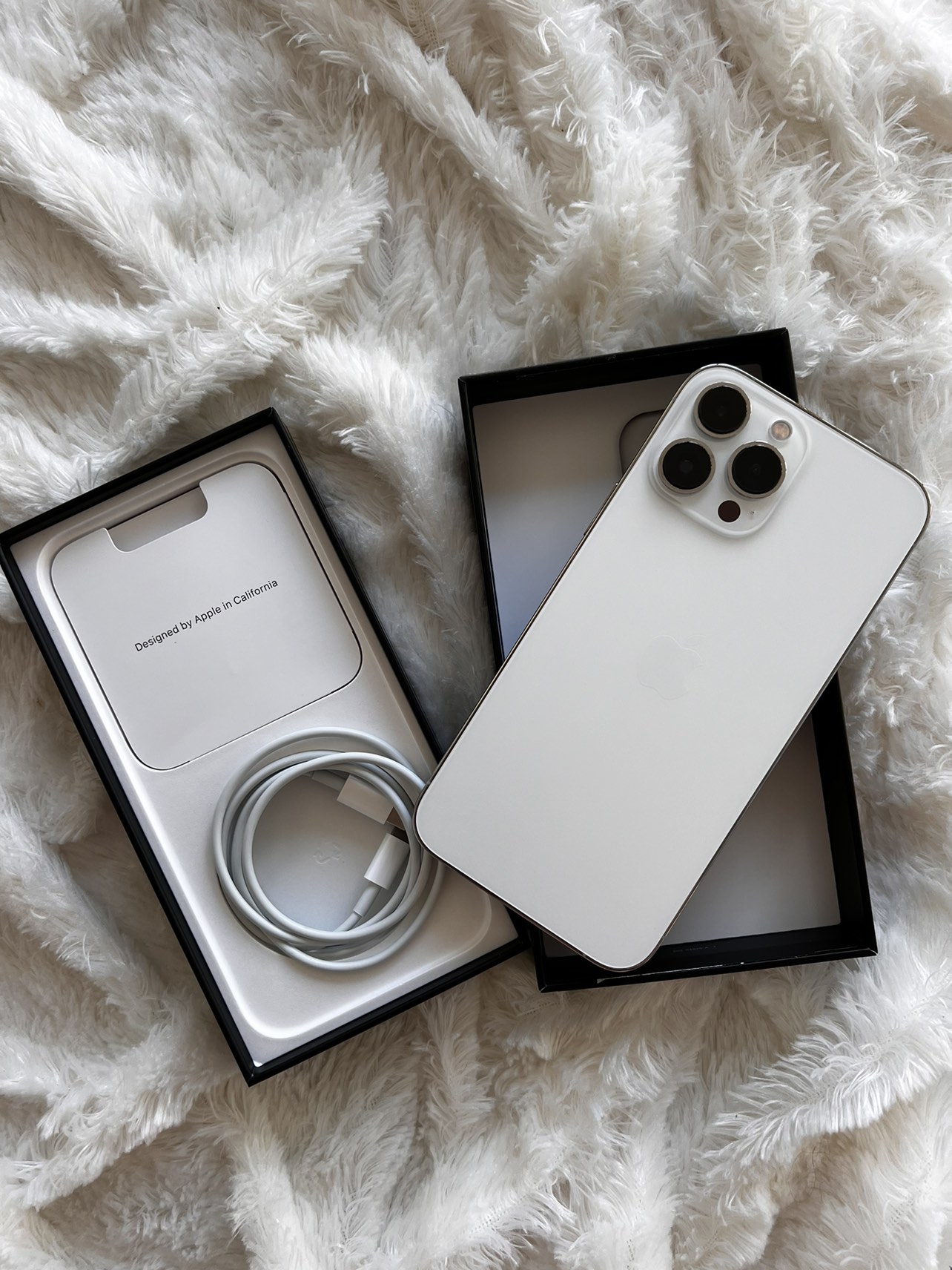 iPhone 13 Pro Max silver 128GB