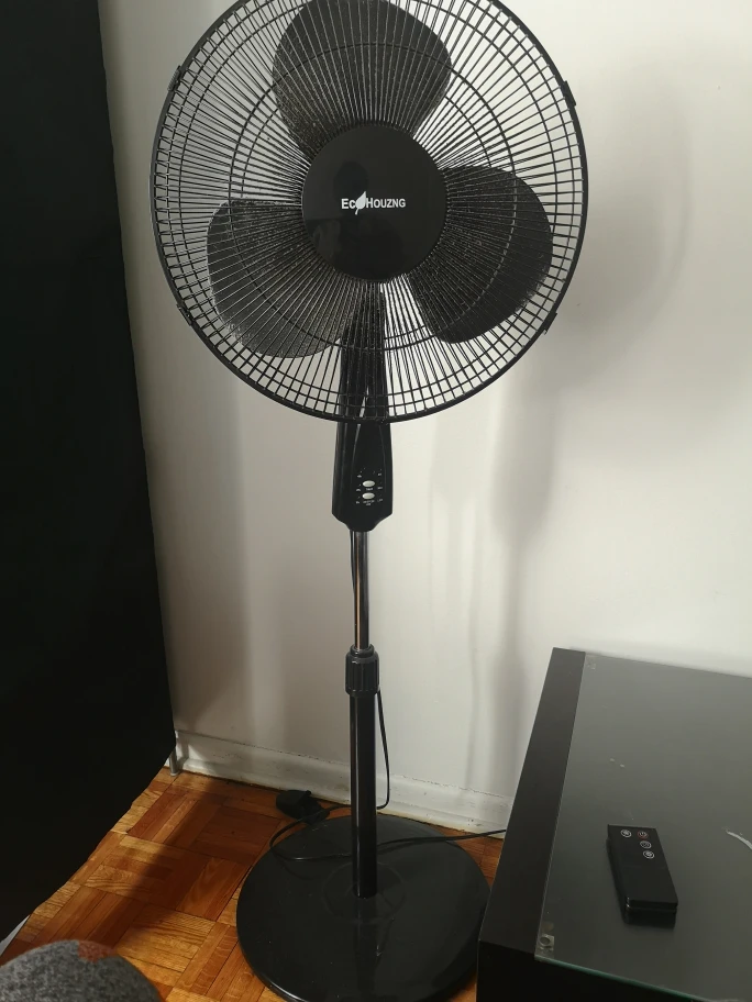 Electric fan