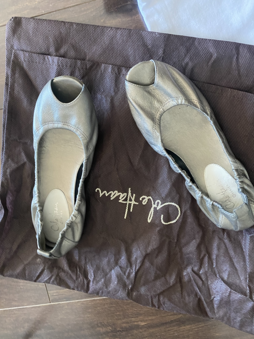 Cole Haan  Silver /Pewter Flats image indicator(2)