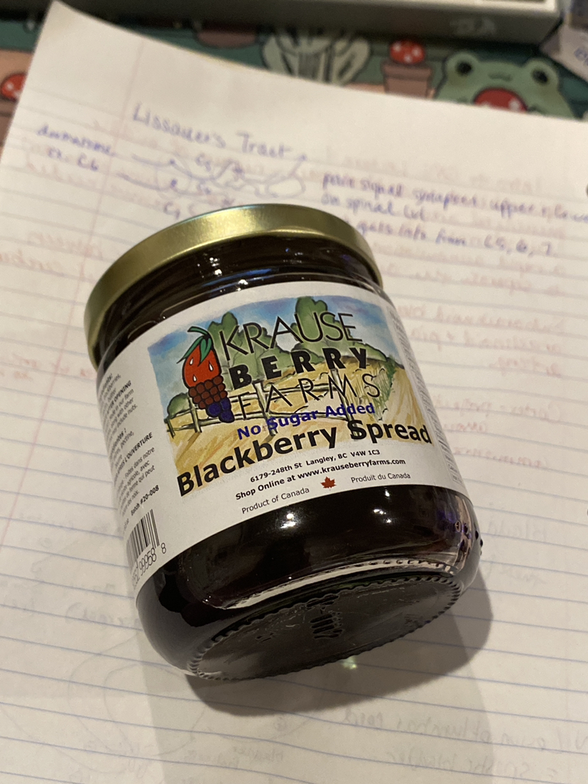 Sugar free blackberry jam