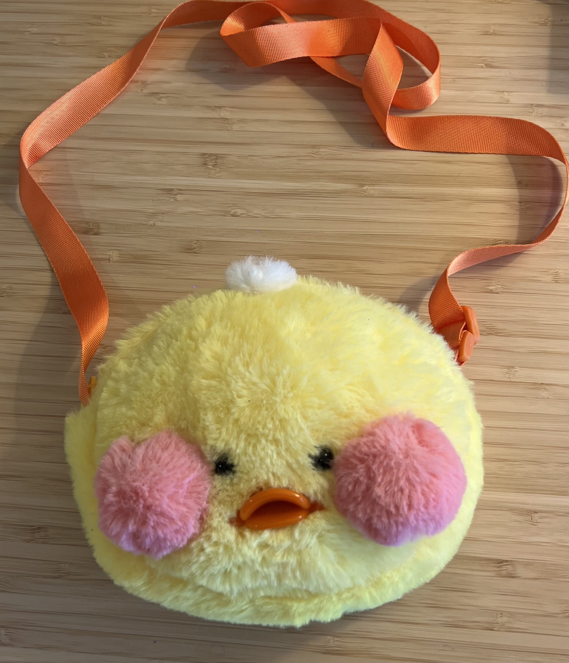 #freecycle free cute bag