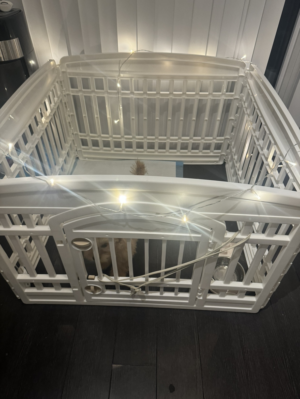 Playpen with door for small dogs - photo 2