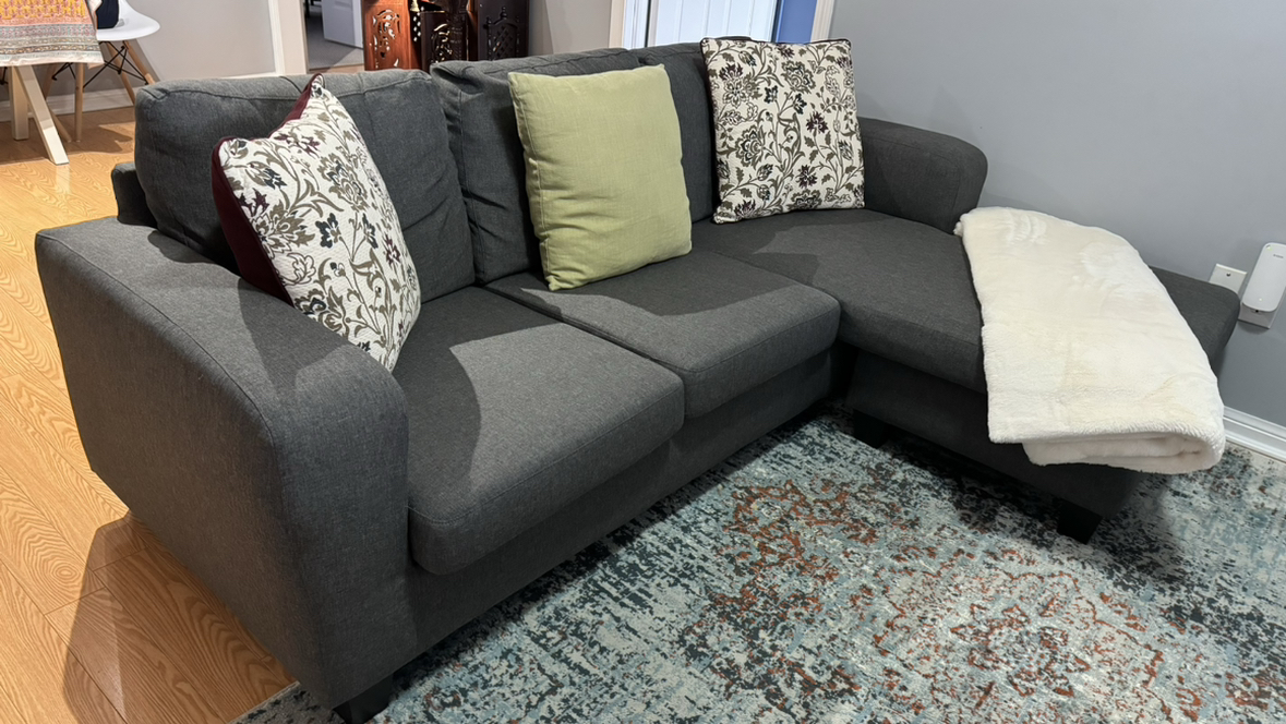 Structube Sofa (Arnold)(Used)