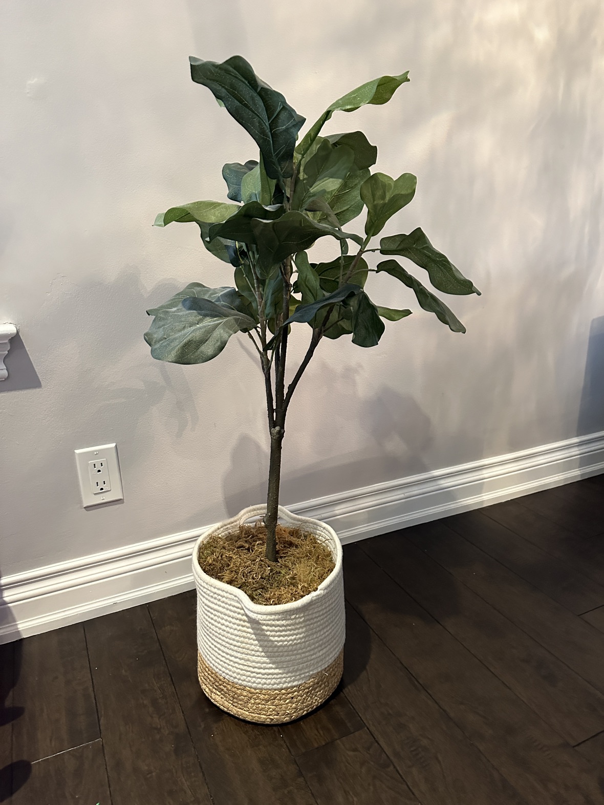 Artificial fiddle leaf tree thumbnail