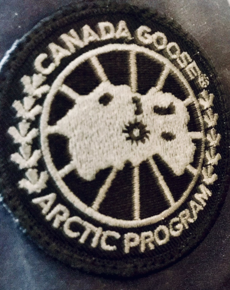 Canada Goose Arctic Program L Jacket - photo 2