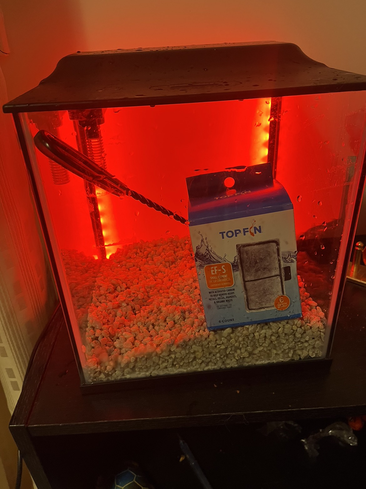 Topfin backlight 3 gallon tank - photo 5