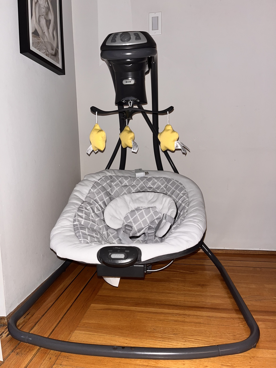 Graco Bouncer Swing