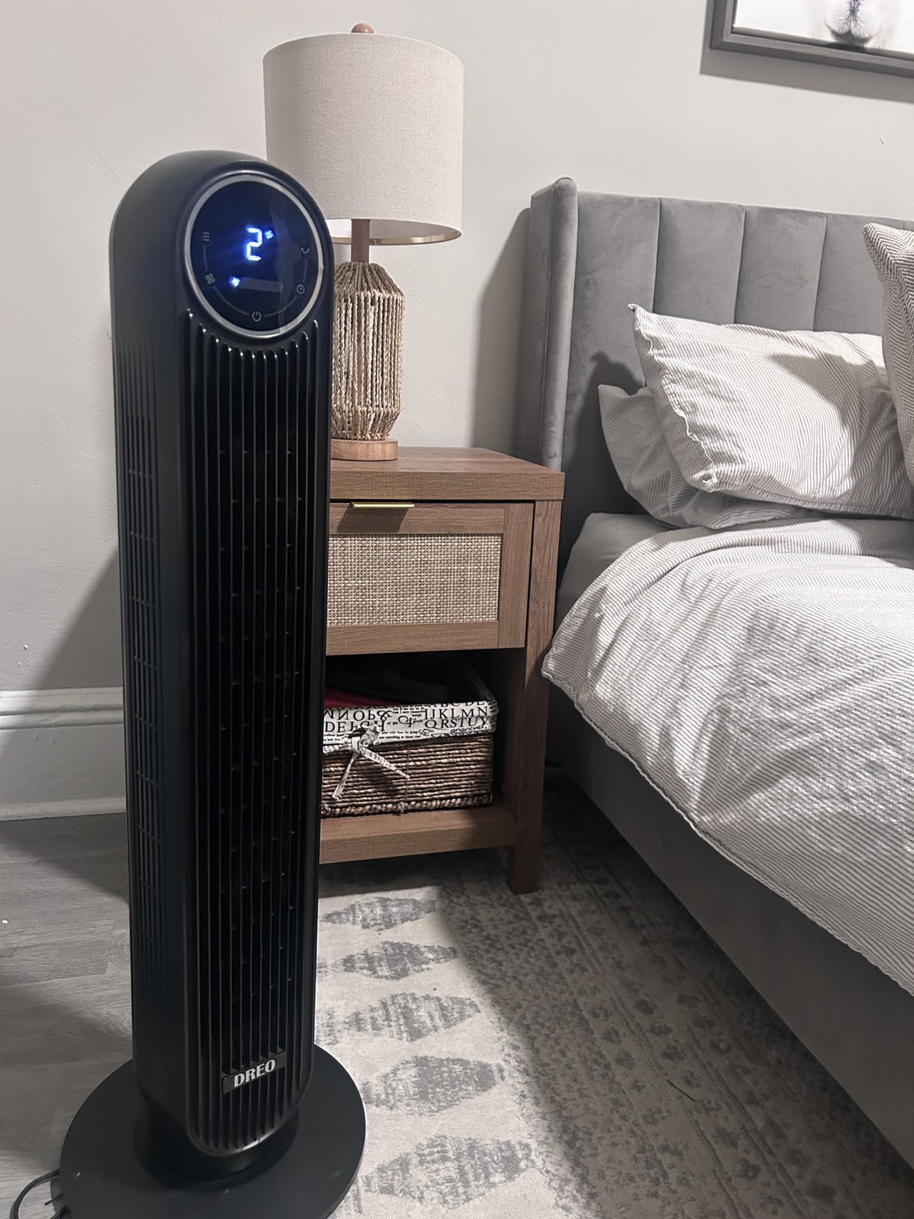 Fan