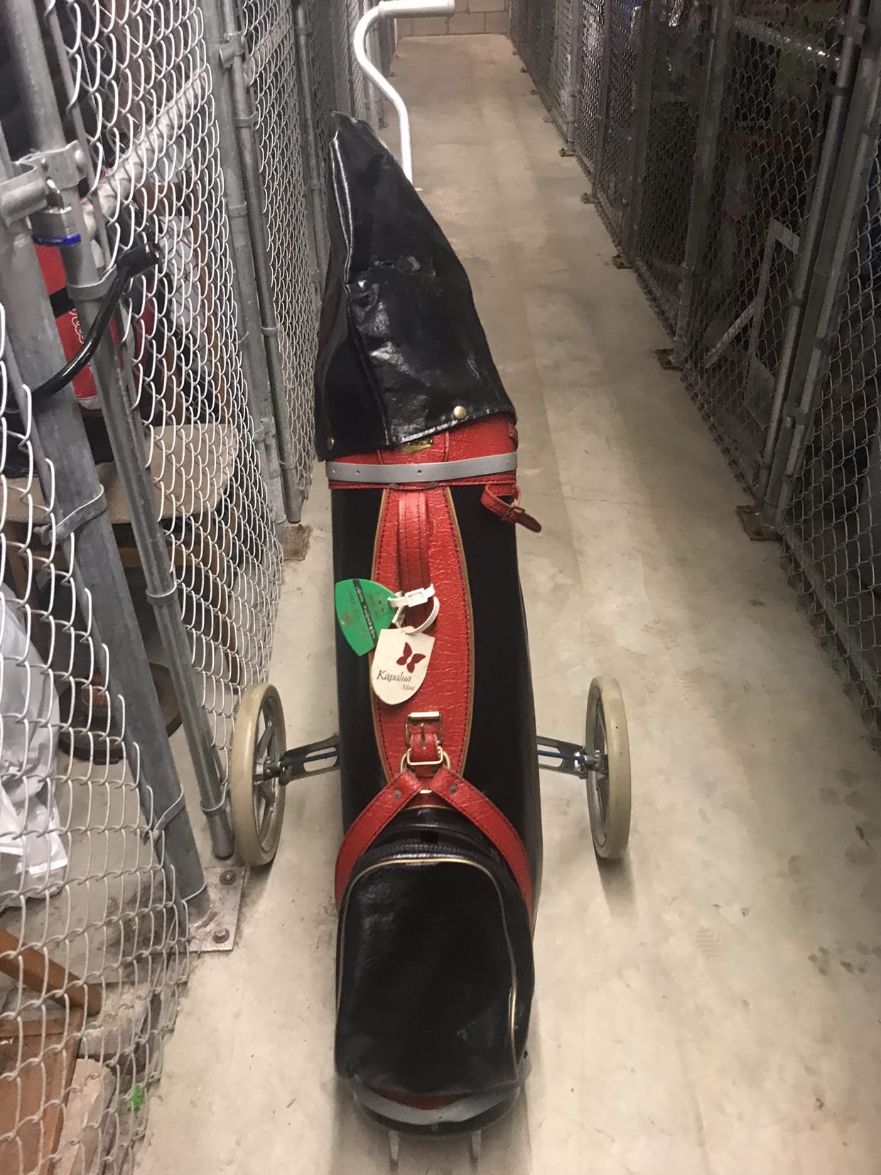 Dunlop caddy bag and cart with left handed clubs image indicator(3)