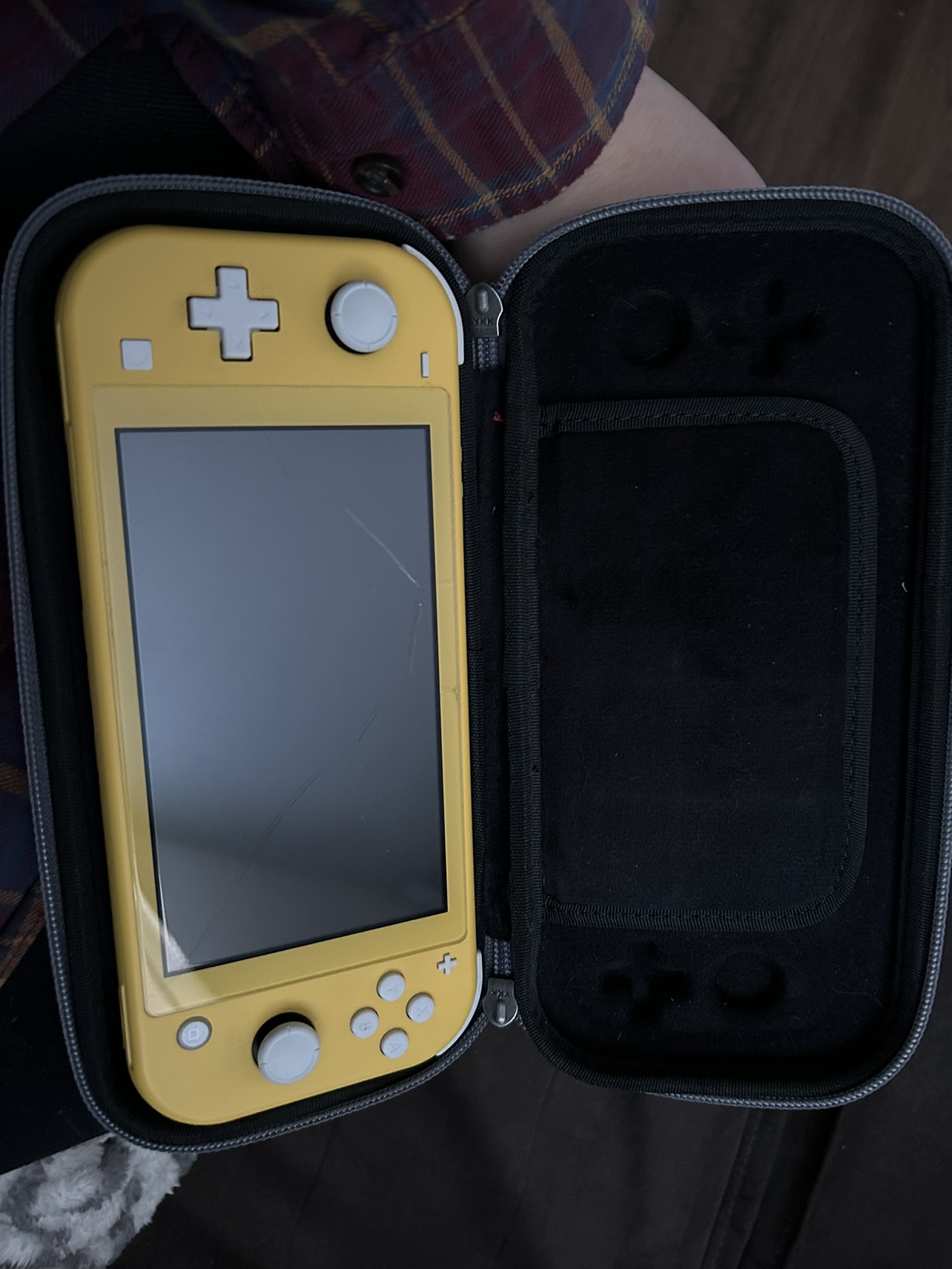 Switch Lite and Animal Crossing