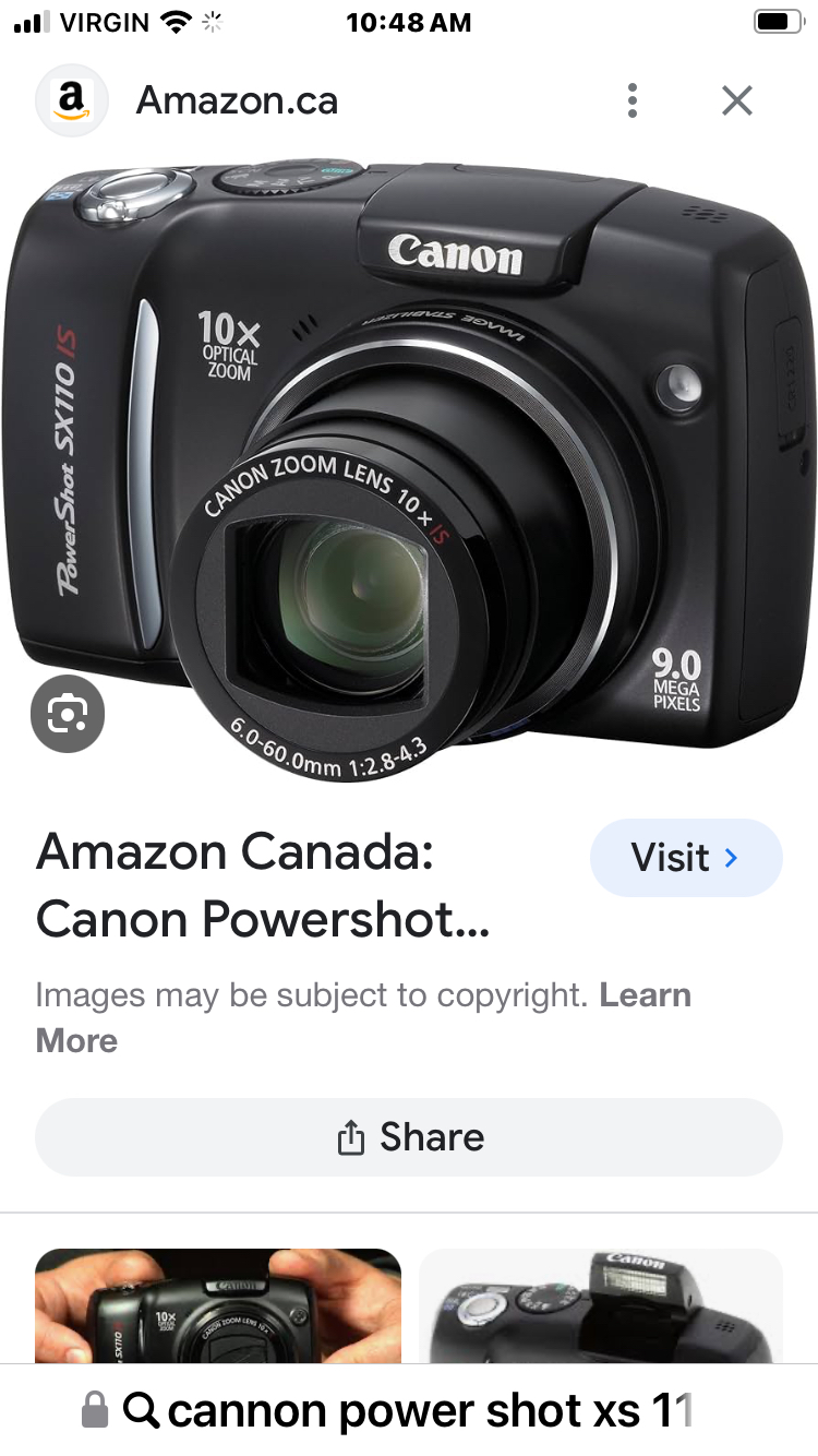 Cannon Camera Power Shot SX110IS, 10x zoom image indicator(2)