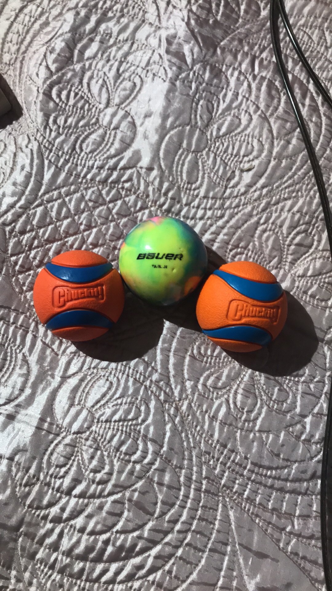 🥕Dog toys thumbnail