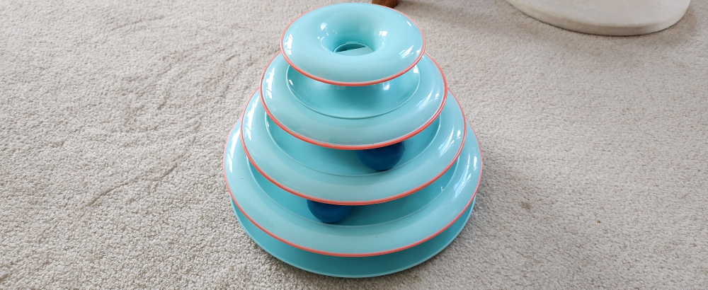 cat toys