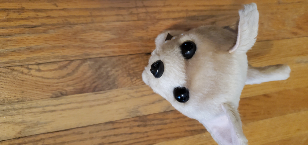 barking chihuahua toy - photo 3