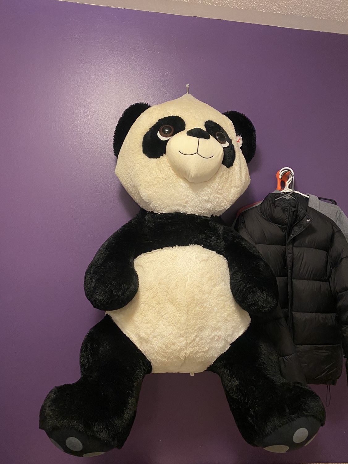 Giant panda with tags thumbnail
