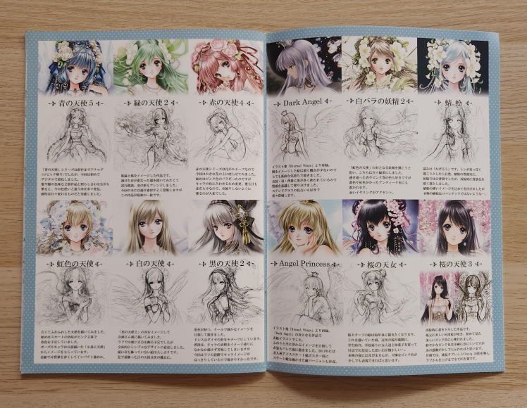 Shiitake's art collection Rainbow Wings picture book - photo 2