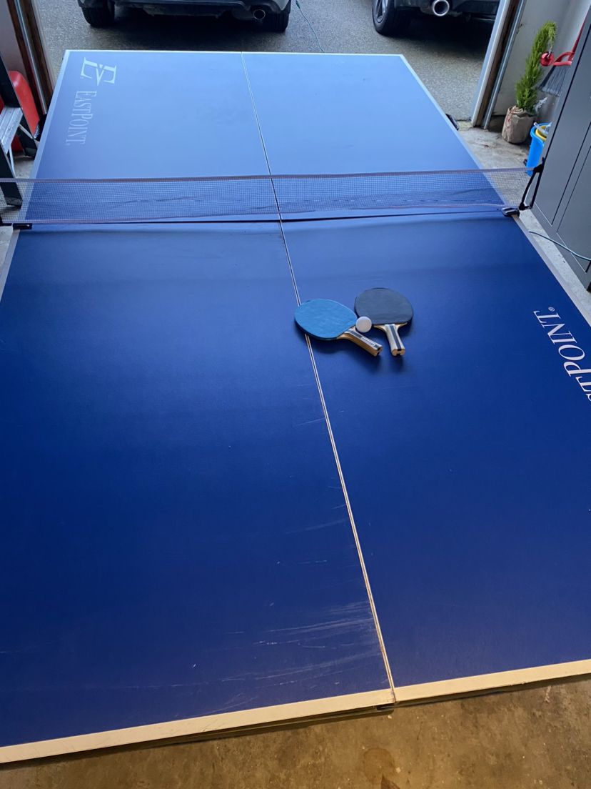 pingpong table