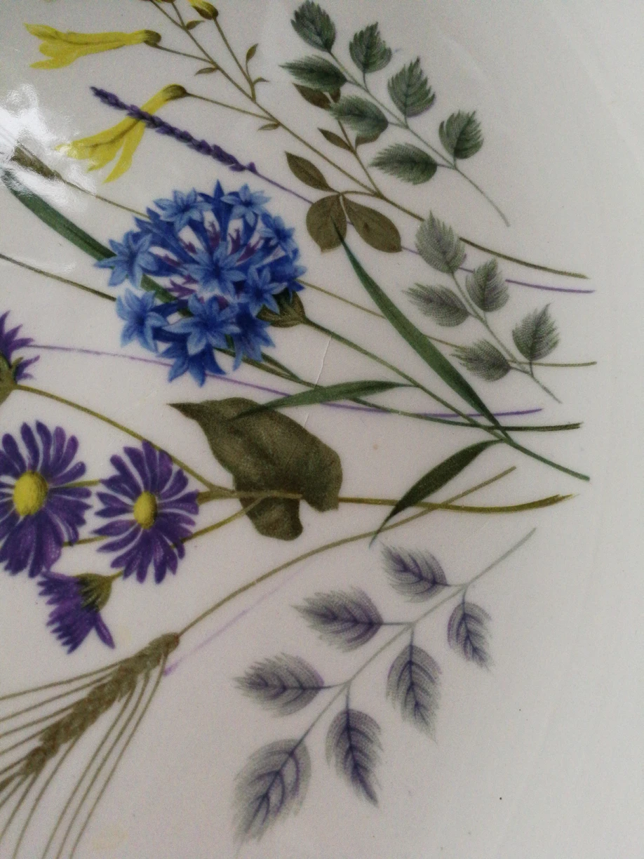 Vintage Ridgway oval plate image indicator(4)