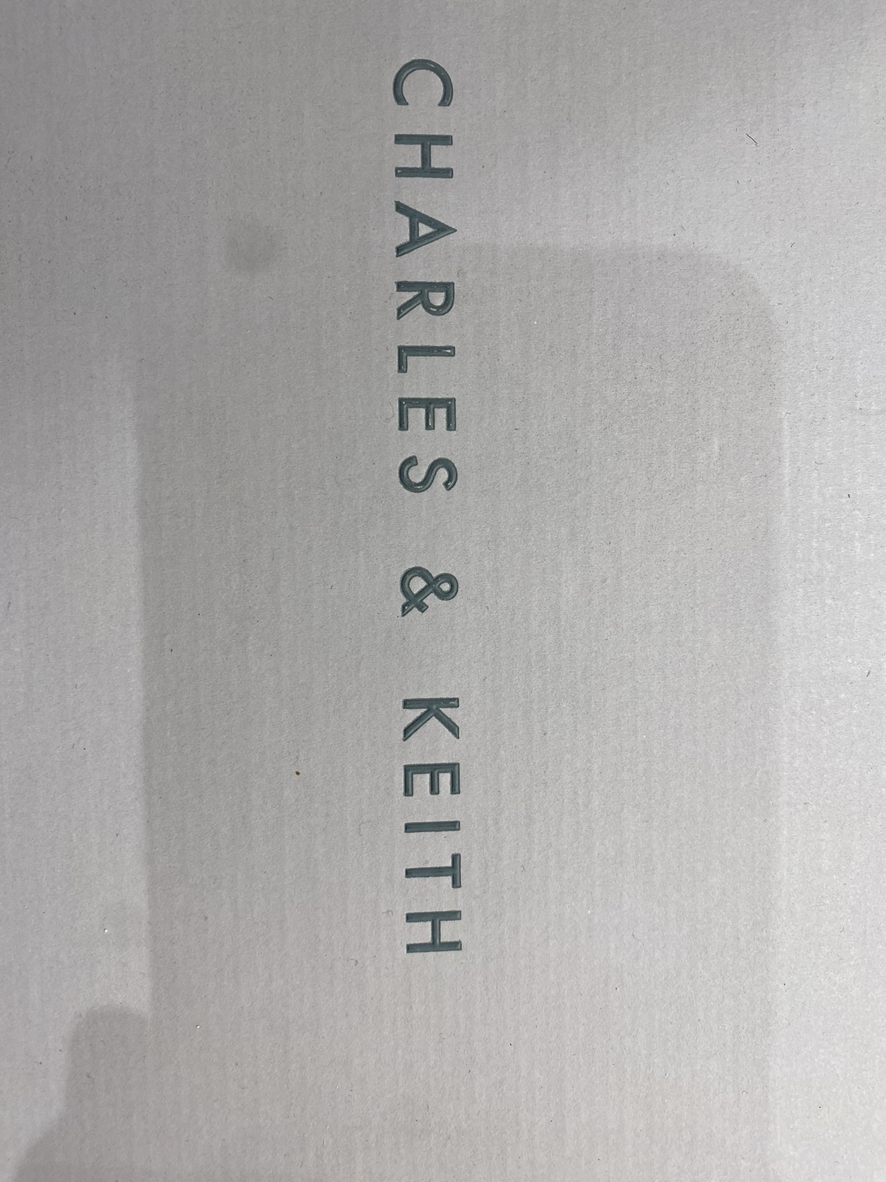 💌 BNIB Never Worn Charles and Keith Sandals , size 41 image indicator(10)