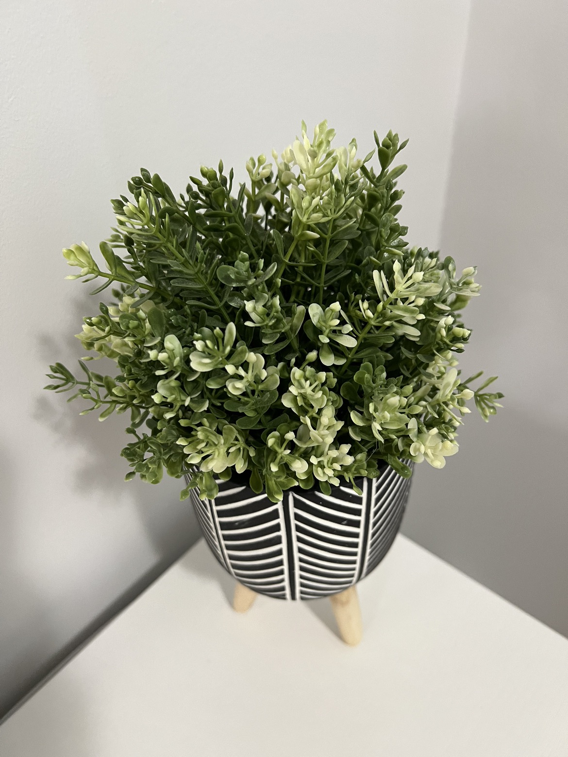 plant pot/ plant stand with plant - photo 2