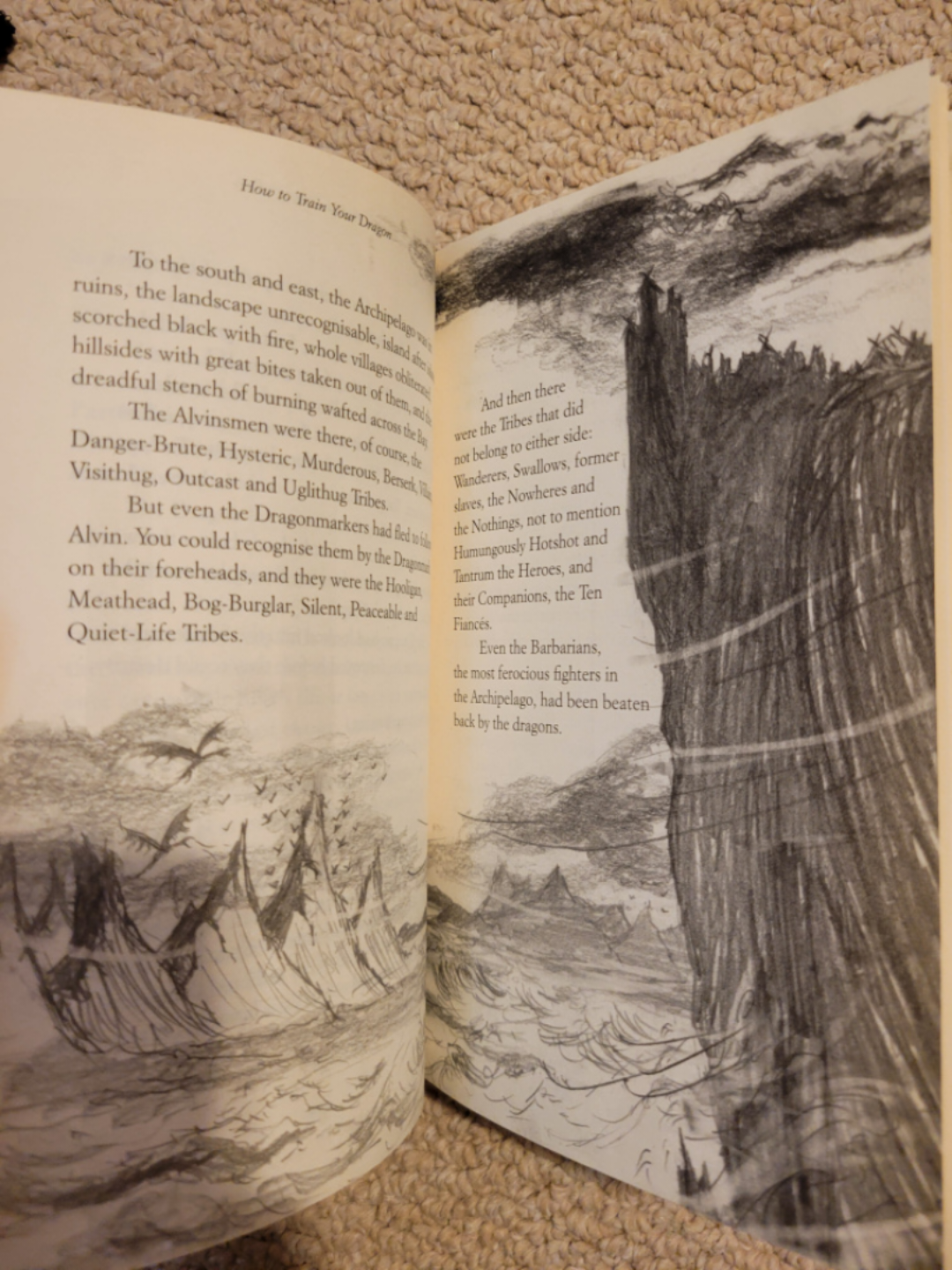 How to Train Your Dragon Kid's Hardcover Book image indicator(4)