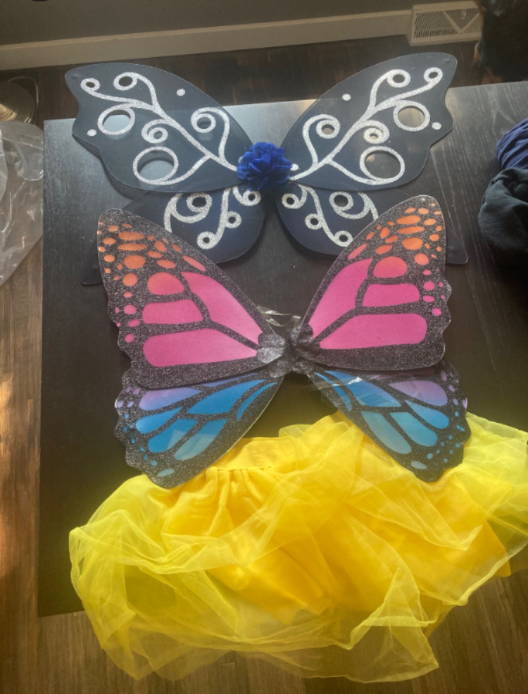 Butterfly wings halloween costume FREE