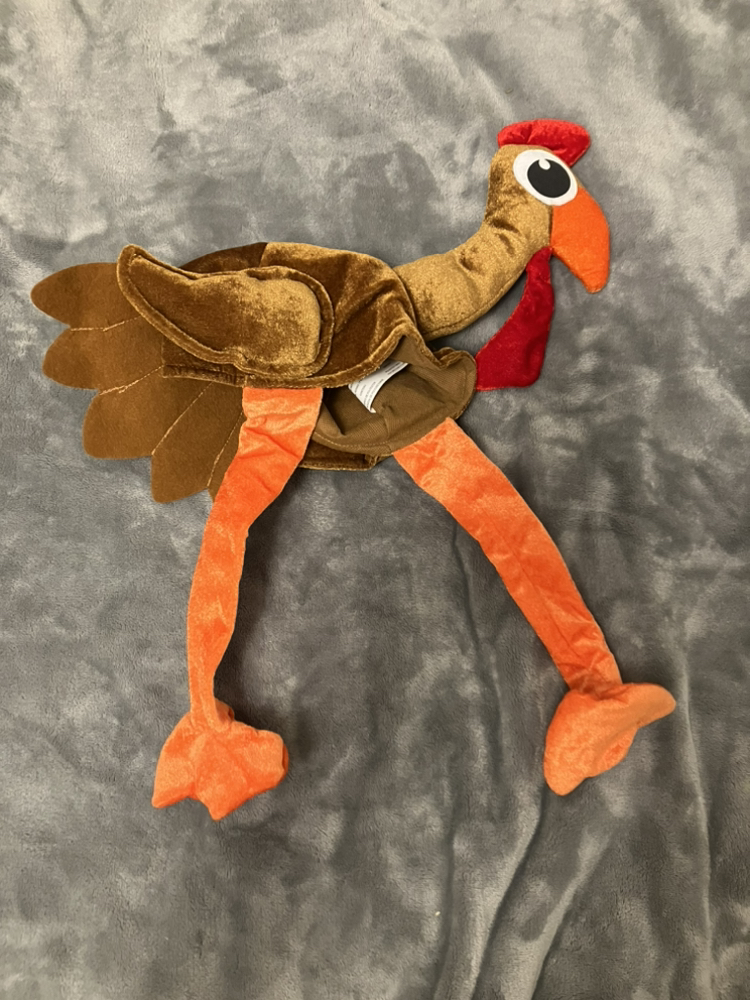 Turkey Hat