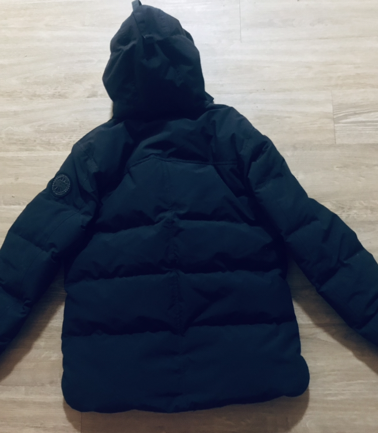 Canada Goose Arctic Program L Jacket - photo 4