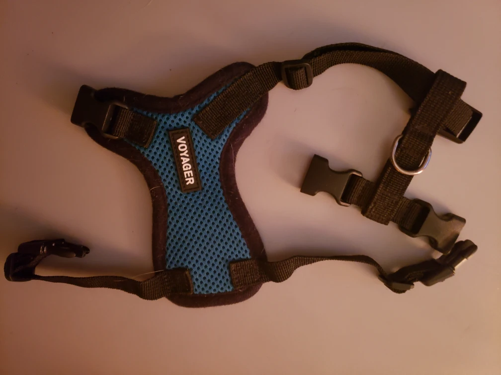 small pet harness #freecycle thumbnail