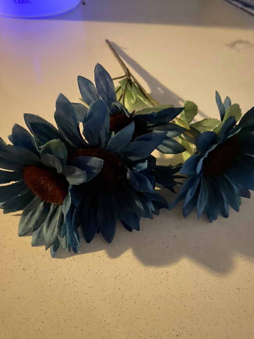 Flowers # freecycle 🌸 thumbnail