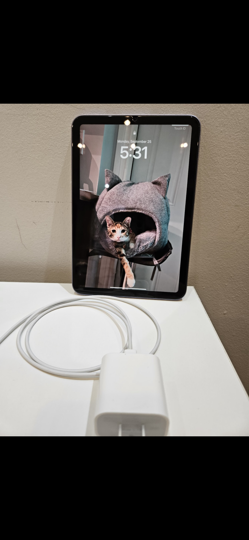 iPad mini 6 purple