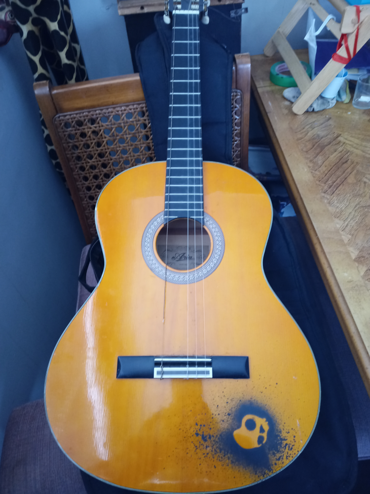 Guitar