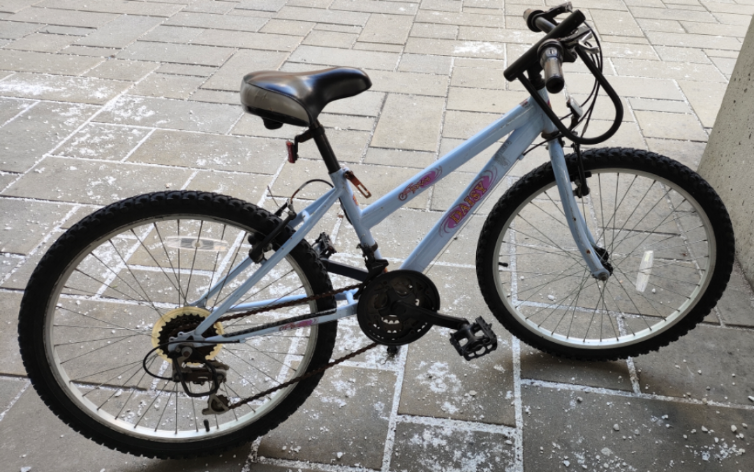 Bike for Adult =<170 cm or Youth image indicator(2)