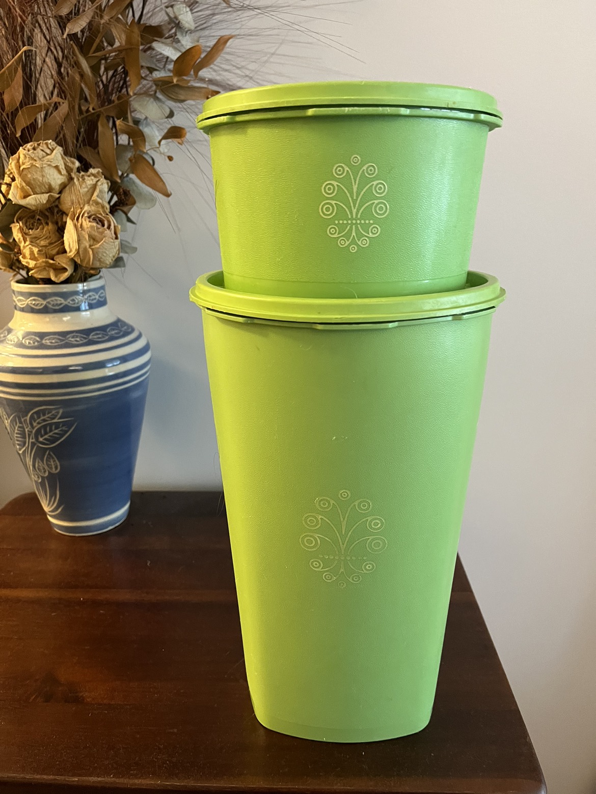 Vintage Tupperware 🥕