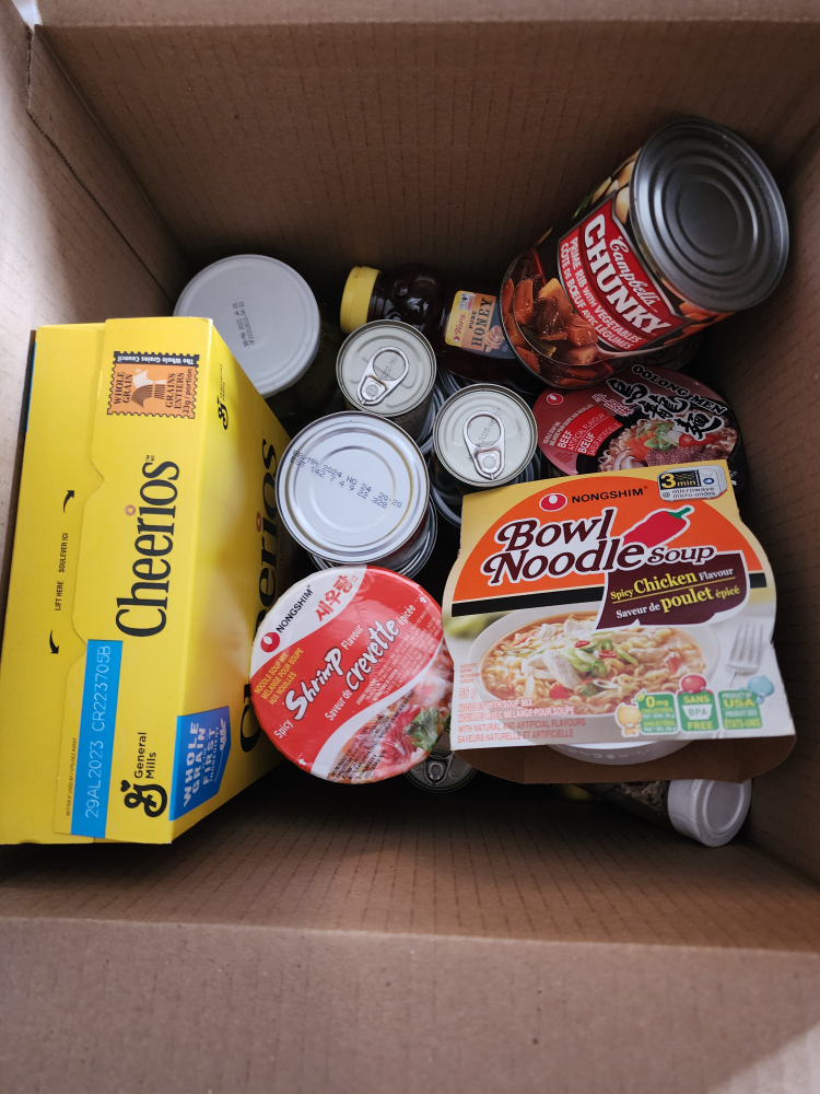 Box of canned food and cereals