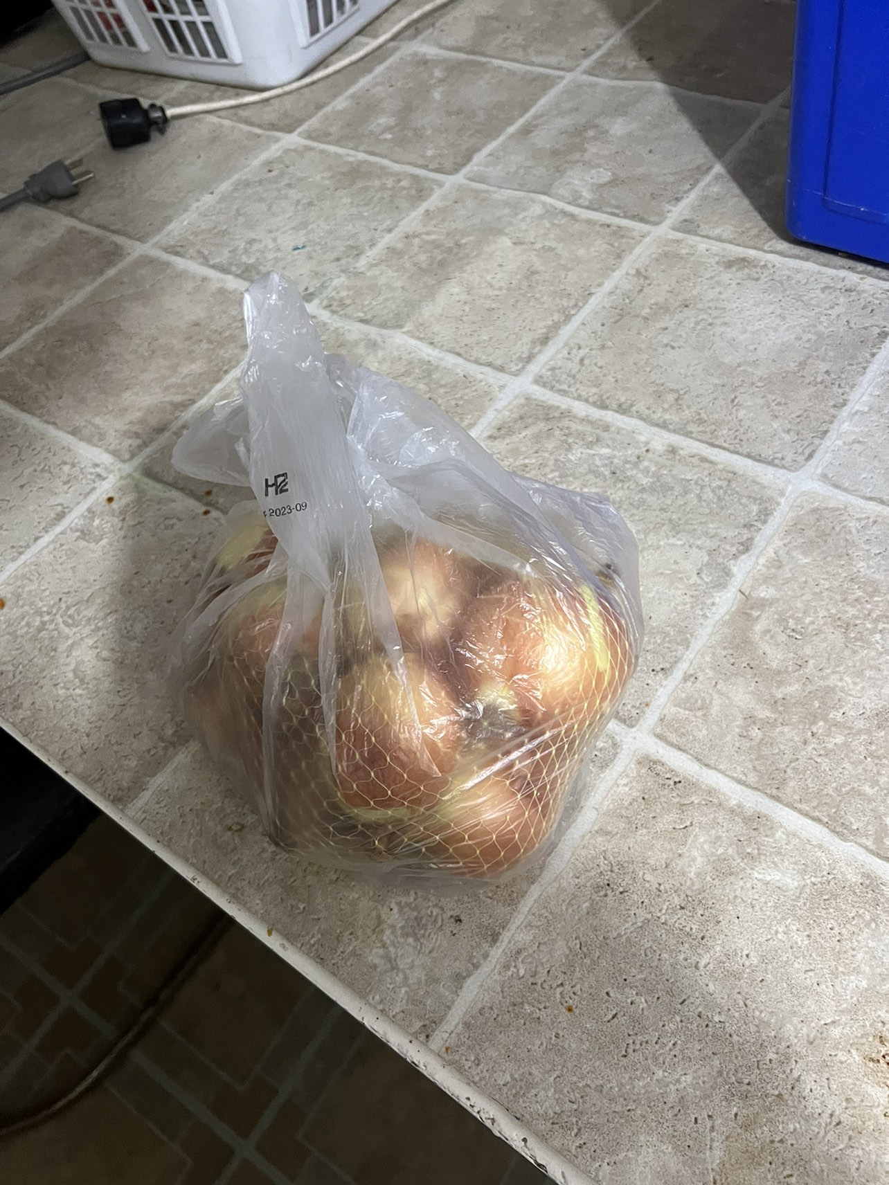 onions thumbnail