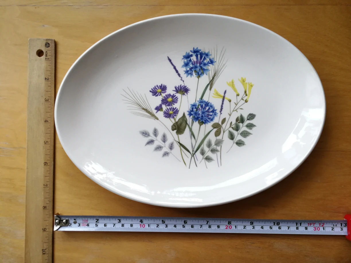 Vintage Ridgway oval plate image indicator(2)