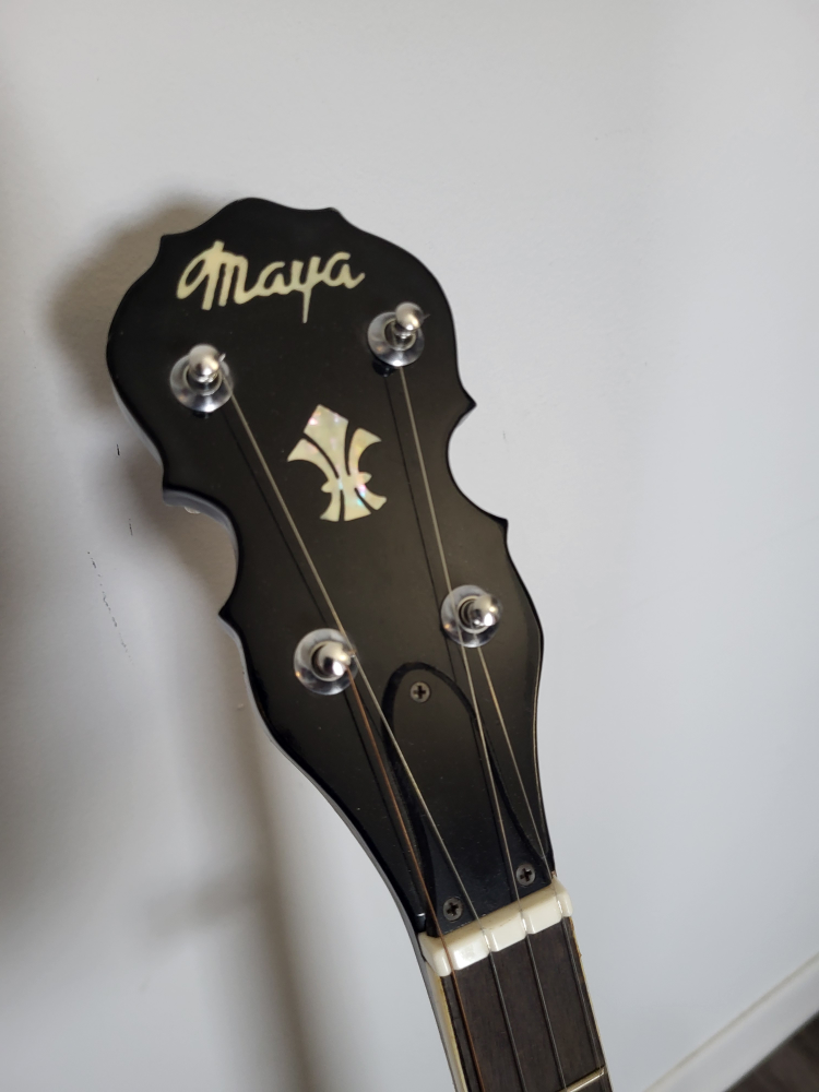 banjo - photo 4