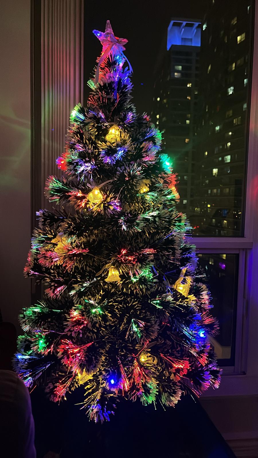 CHRISTMAS TREE FOR SALE image indicator(2)