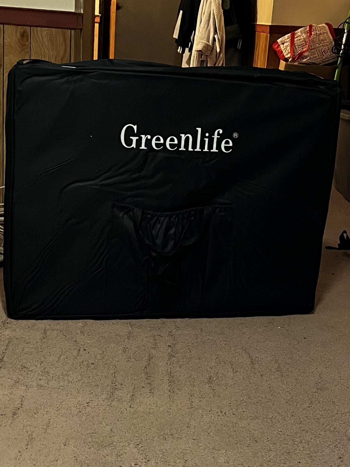 GreenLife facial/lash/massage table - photo 2