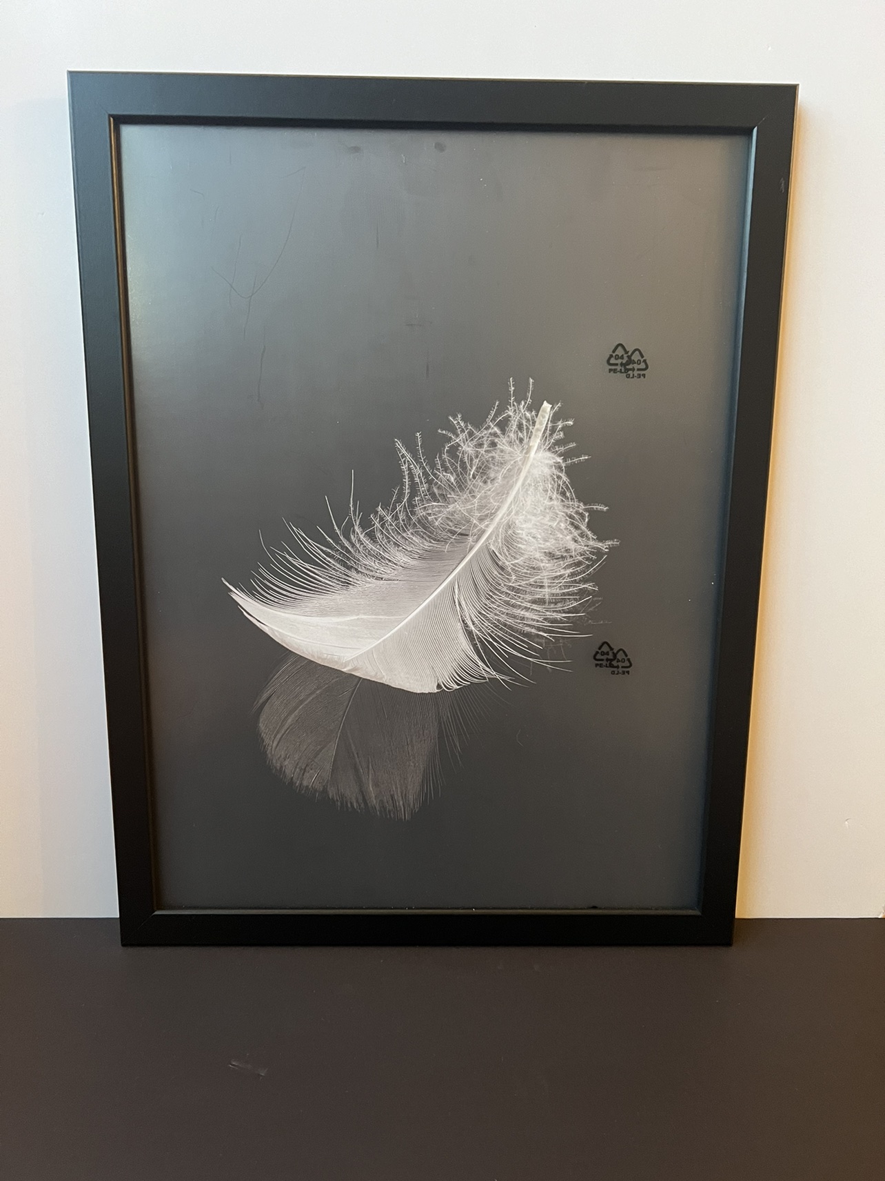 Feather Wall Art thumbnail