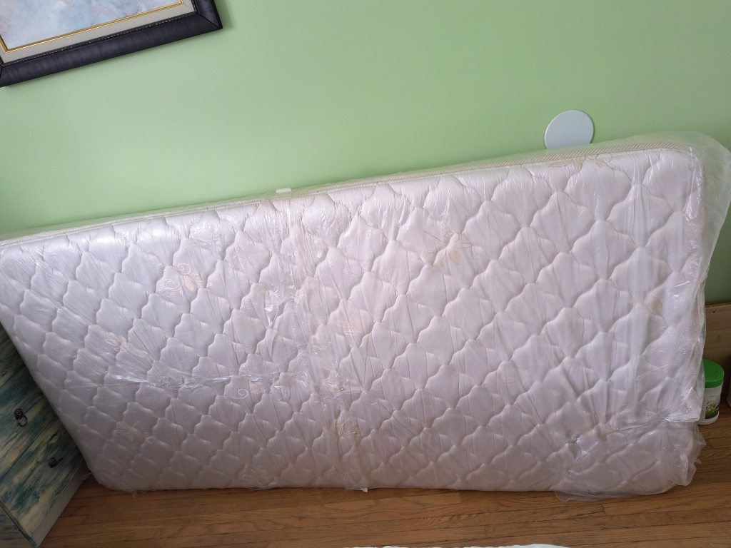 FREE twin mattress - photo 5
