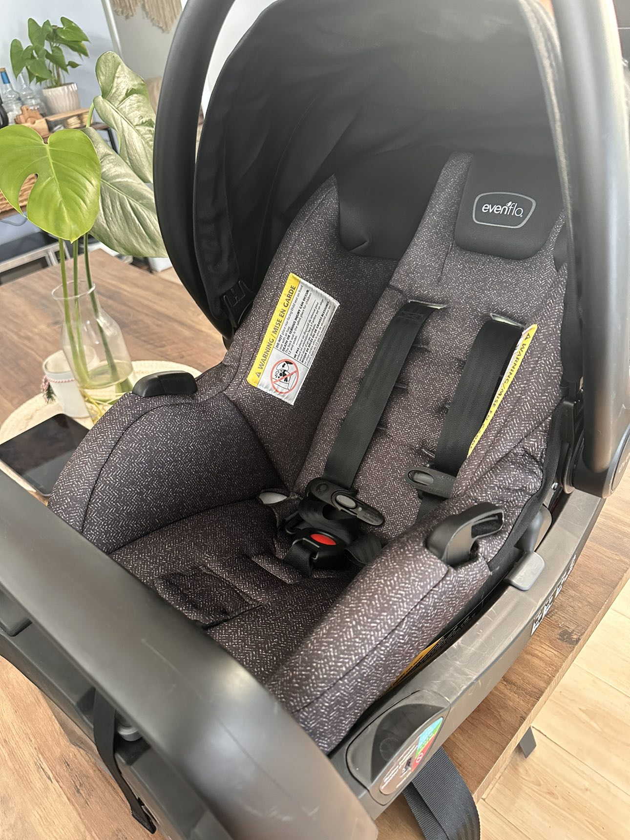Evenflo infant car seat image indicator(2)